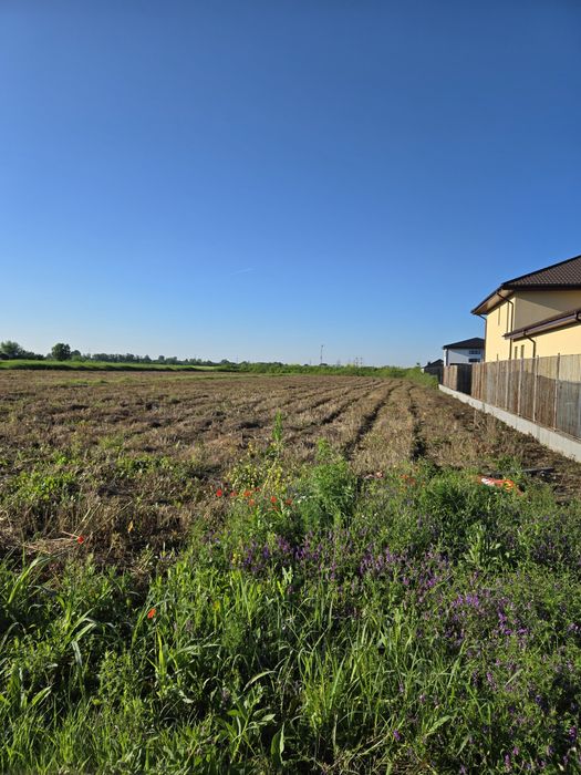 Loturi casa Titu parc 1000/700/500 mp