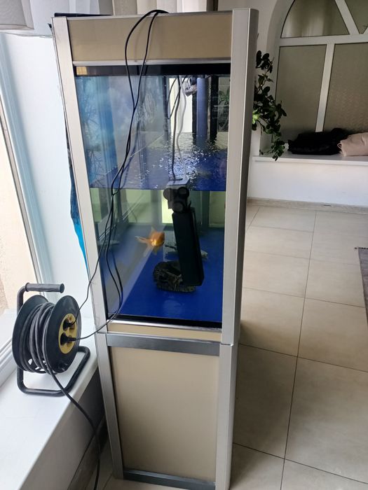 Продаётся аквариум с рыбками