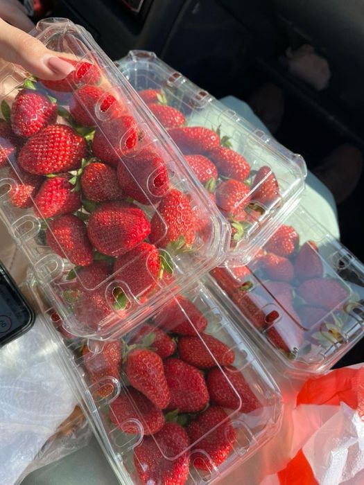 Клубника свежая розница и опт