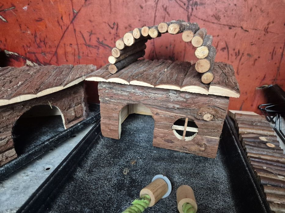 Accesorii cusca papagali