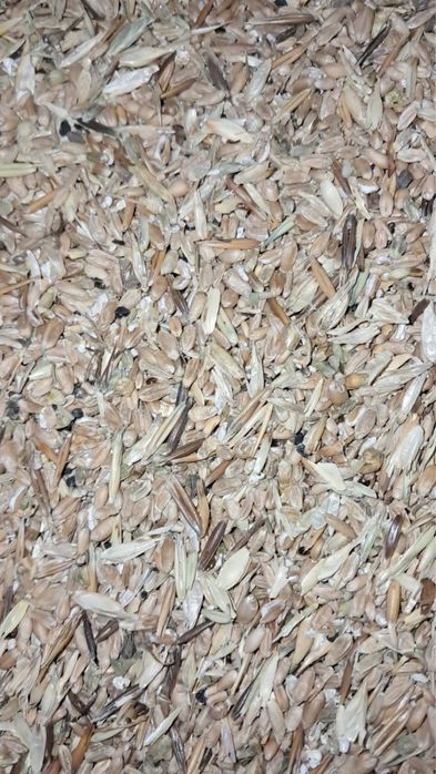 Отруби кебек, арпа, бидай