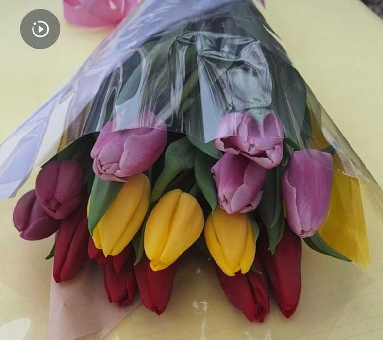 Голландские тюльпаны. Оптом и в розницу..