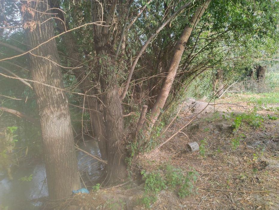 Фазенду продам дом