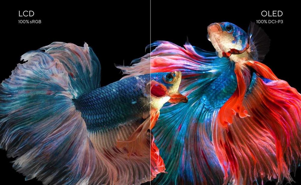 Asus VivoBook 15 OLED X1505VA-L1638 i9-13900H/16GB DDR4/512GB SSD/OLED