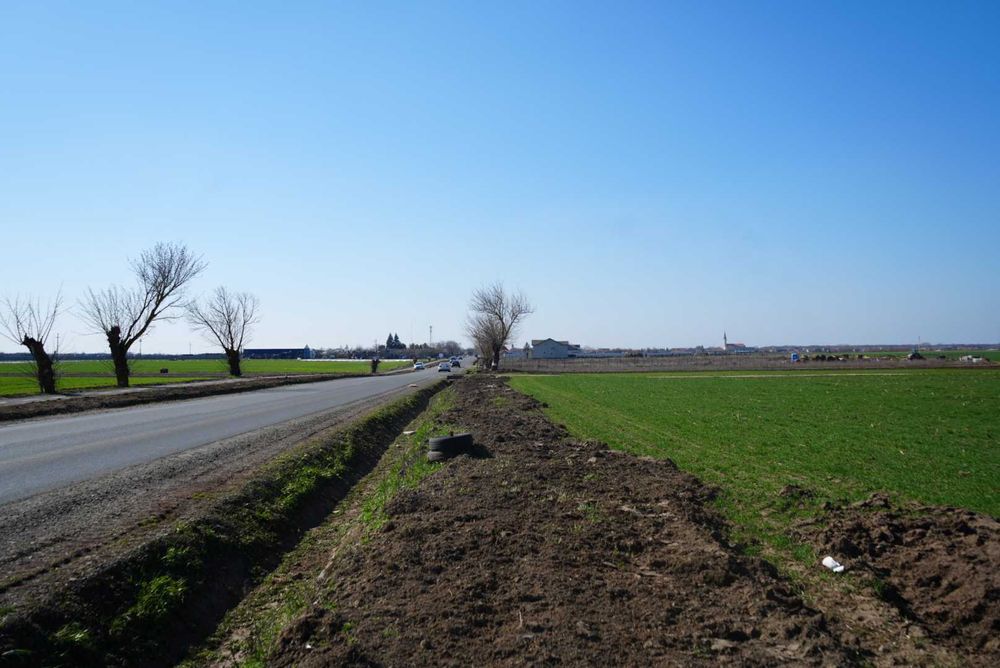 Teren 1 HECTAR cu deschidere mare la DJ682 – Zădăreni, Arad