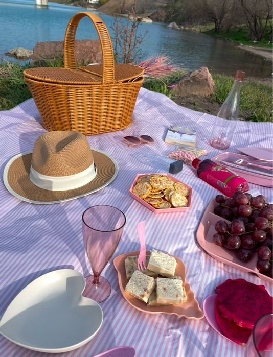 Набор для пикника