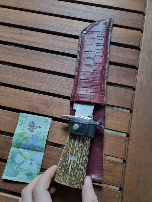 Cutit vanatoare superb