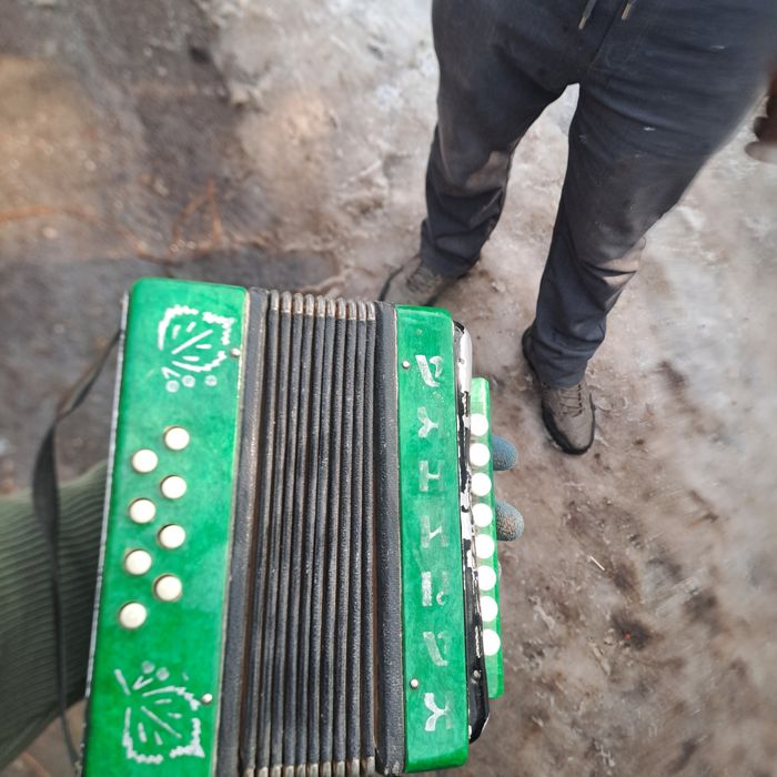 Продаю полностью рабочаю Гормошку