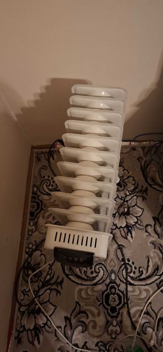 Pecha Elektronik 10 qovirg'a