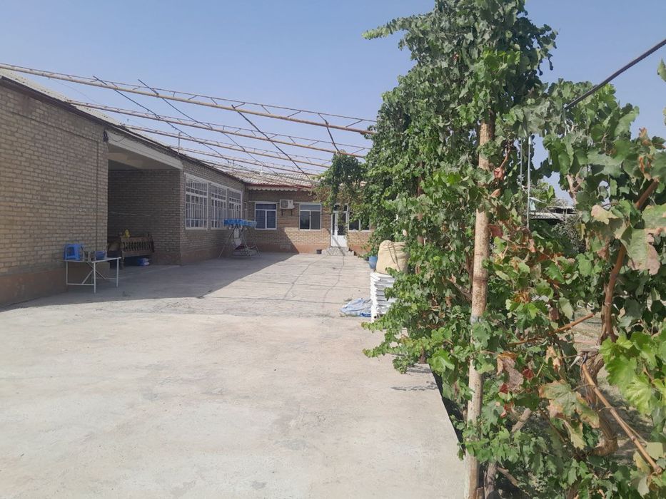 Таёр ховли сотилади, уйдаги хамма нарса колдирилади 26 суток