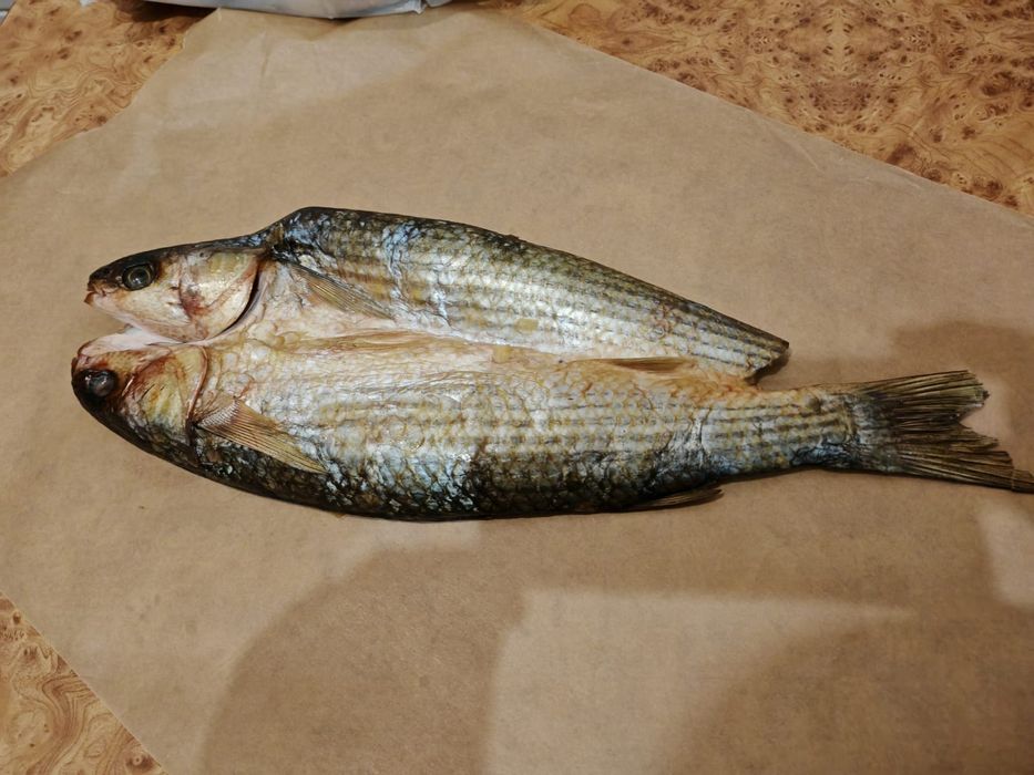 Вобла (Атырау) маласол с икрой