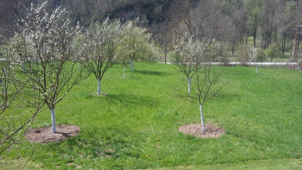 Продава УПИ -2428 кв.м, гр.Тетевен,вилна зона Скрибътна-50000 евро.