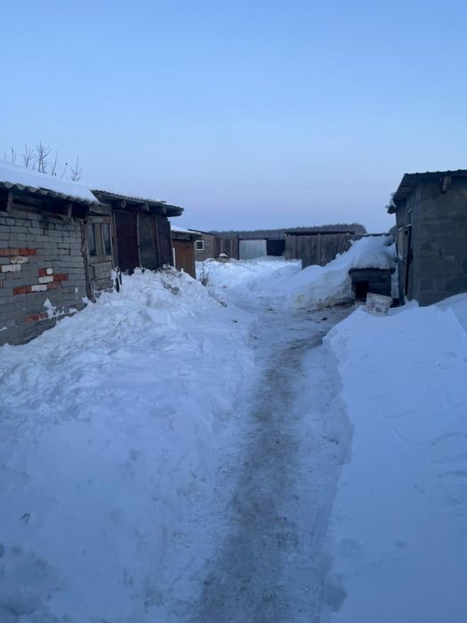 Продам дом в поселке Нечаевка