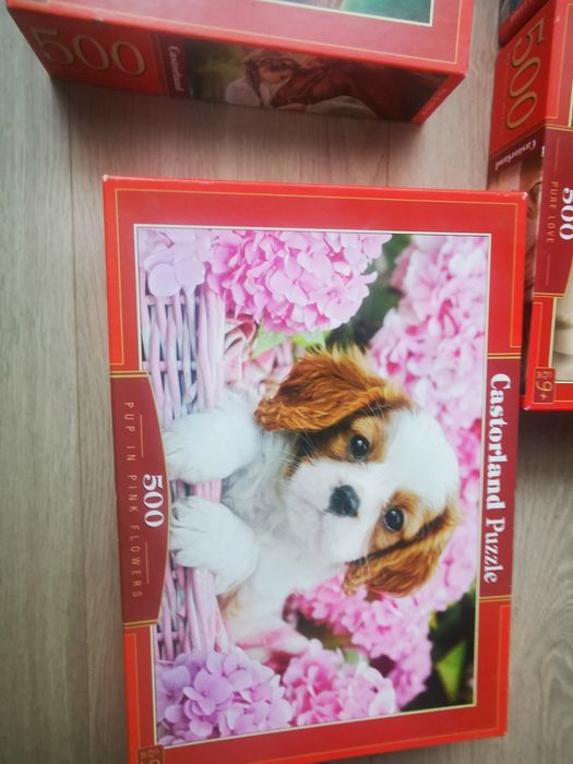 Lot Puzzle Castorland, 500 piese, pentru copii + 9 ani