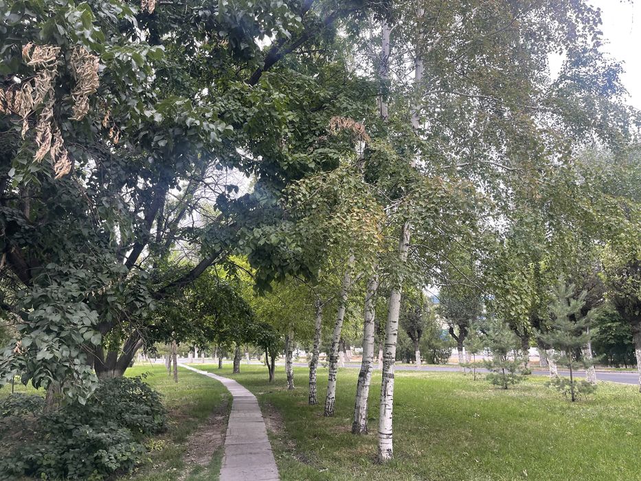 3 ком. кв. с огромным участком за облакиматом