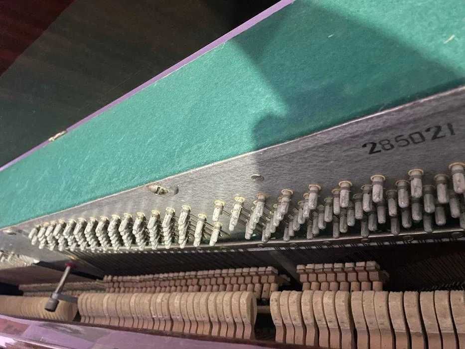 Belarus pianinosi sotiladi – professional tovush, ideal holat