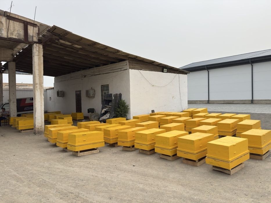 Асалари яшиклари сотилади