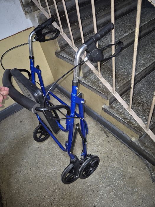 cadru medicinal batrani