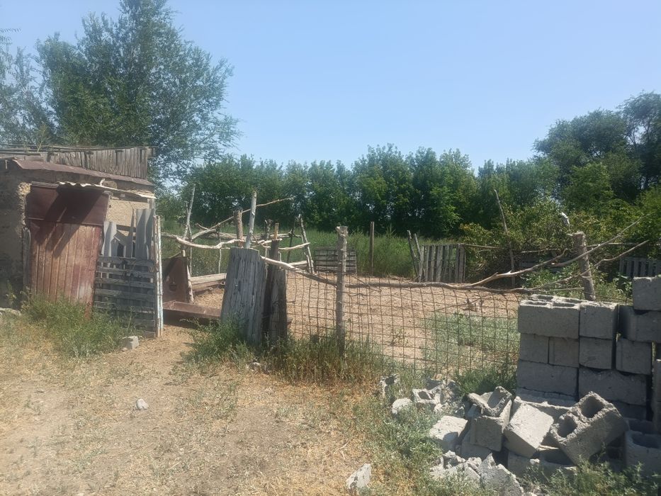 Уйге келысым бар
