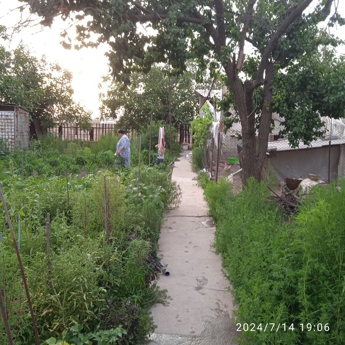 Дача сотилади срочно