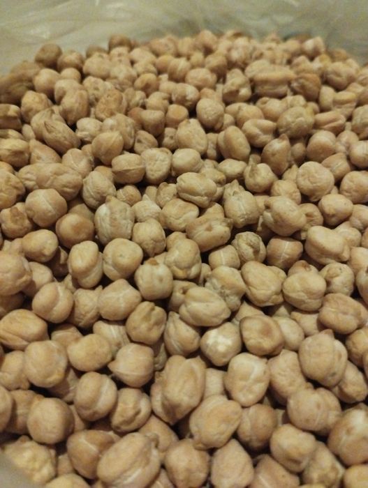 Узимиз етиштирган тоза нухот бор