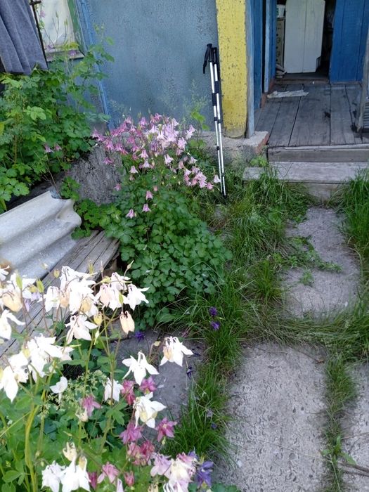 Продается дача в городе Текели.
