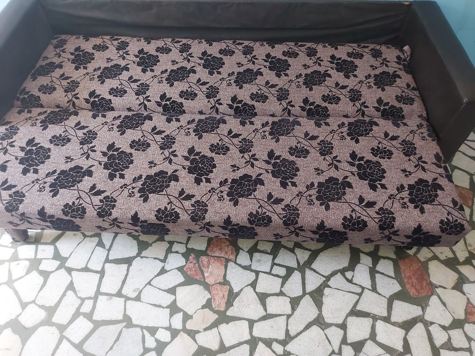 Canapea extensibila-550lei