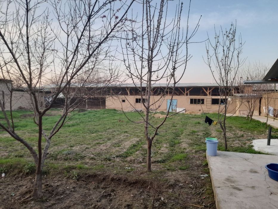 Hovli sotiladi 12 sotix