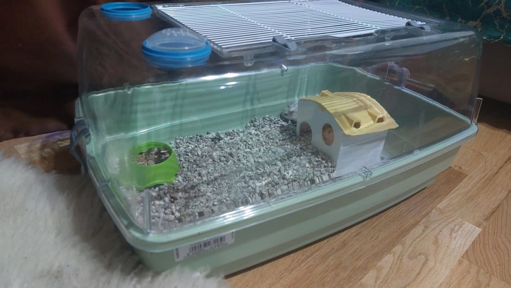 Vând hamster +cușcă și accesorii