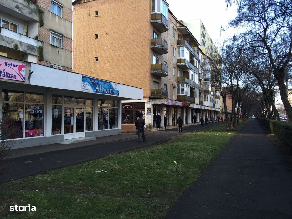 Chirie spatiu comercial 35 mp , Drumul Careiului