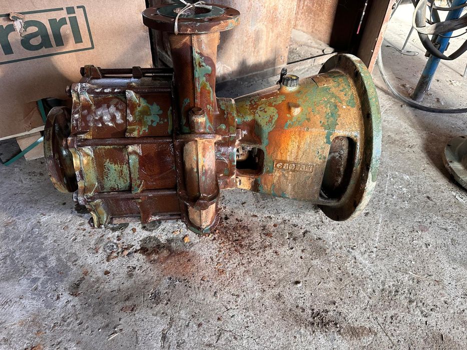 Pompe Caprari pentru motopompe