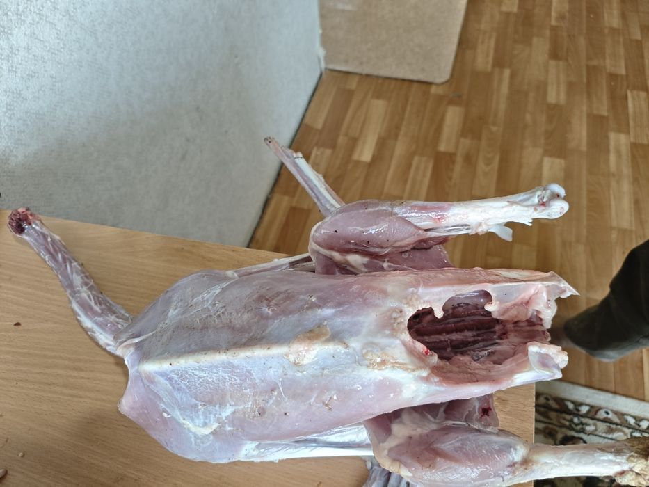Каз гуси без кожи