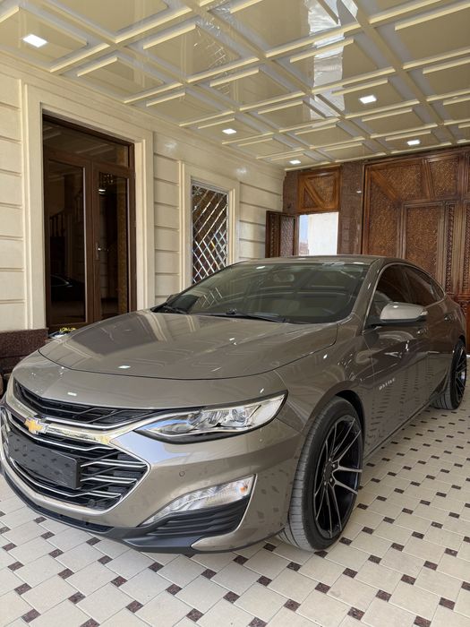 Malibu Primier 21/22