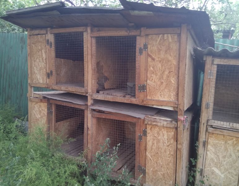 Продам Крольчатники