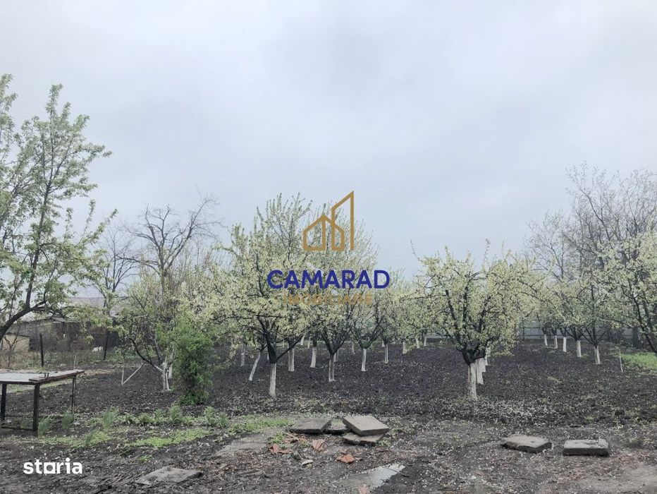 Teren de vanzare in Tamadau Mare, jud. Calarasi – Strada Principala