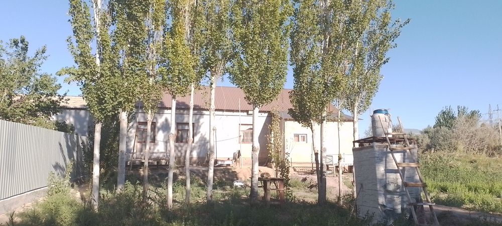 Актерек сатылады