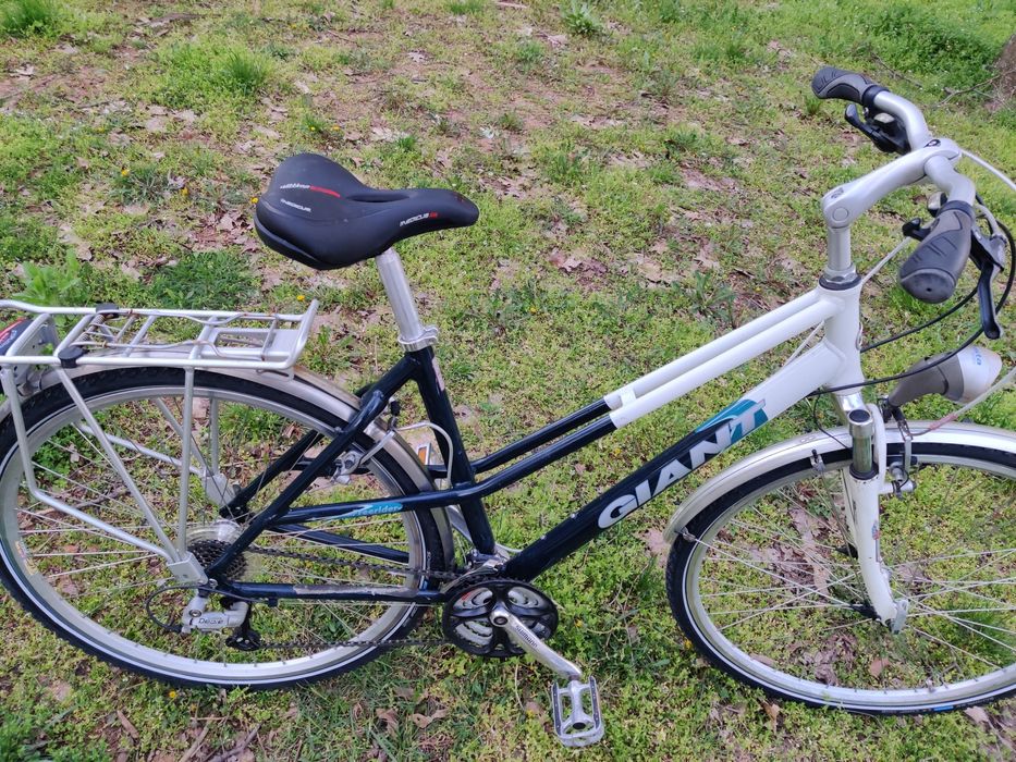 Bicicleta  Giant Freerider