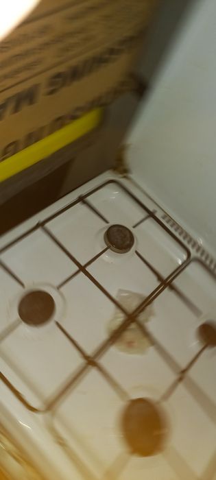 Газовая плита рабочая