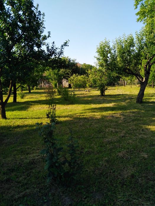 Casă la țară de vânzare