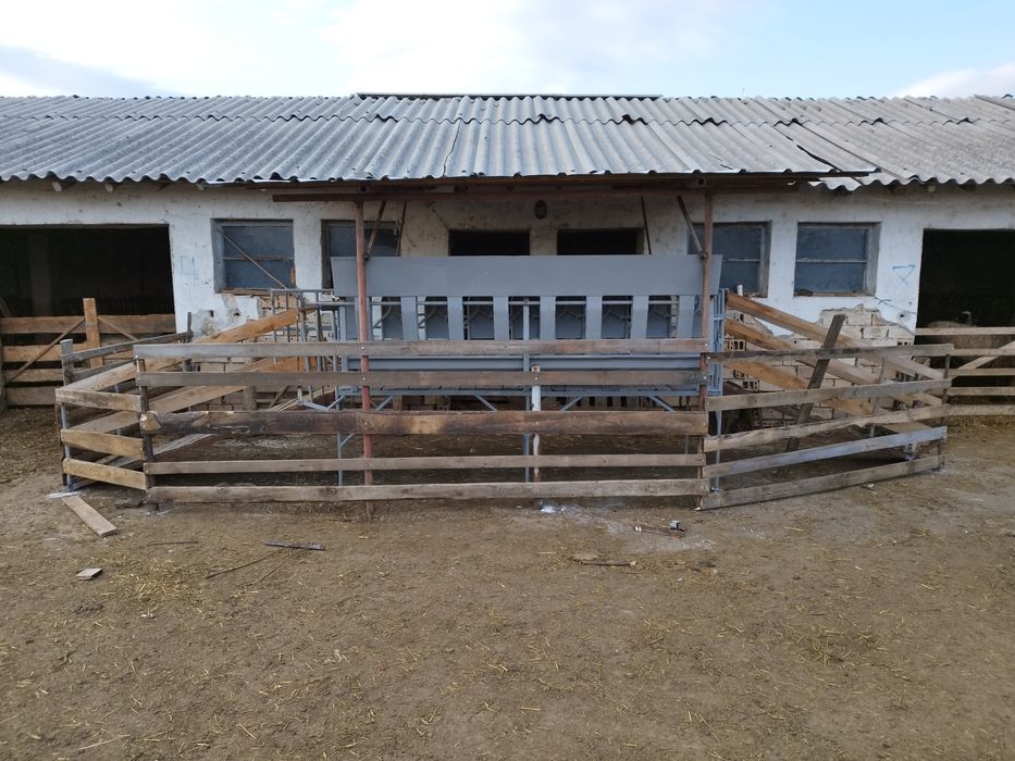 Капан за доене на овце