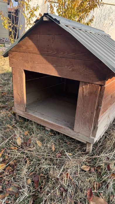 Будка, иттің уйі, город Шымкент