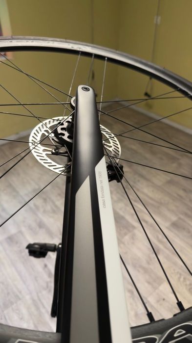 Wilier GTR team disk M Campagnolo 12