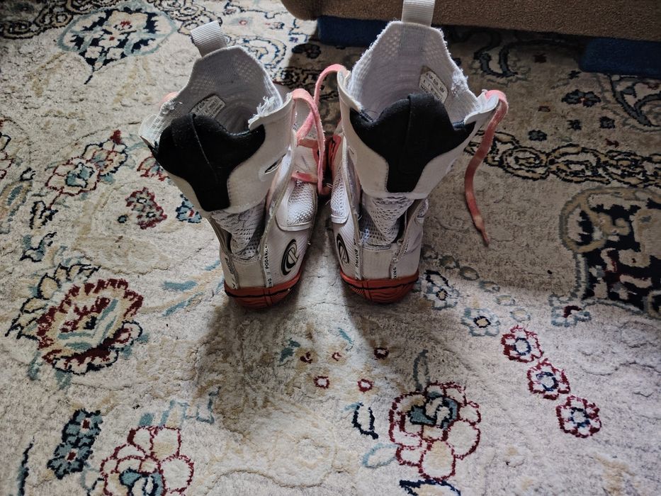 Боксёрки Podarcek