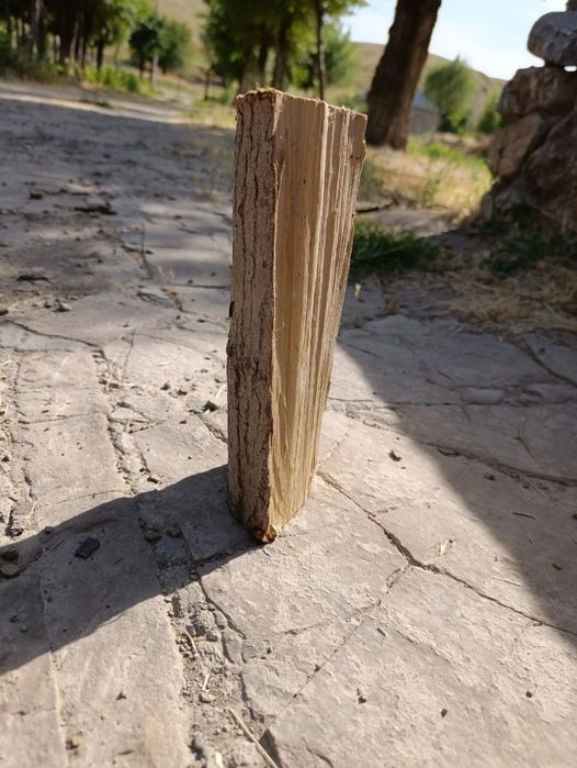 Дрова рубленные  . Дайын отын  .