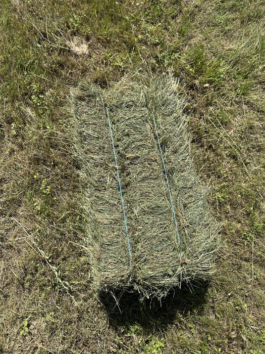 Vând baloții fân, otavă 2025