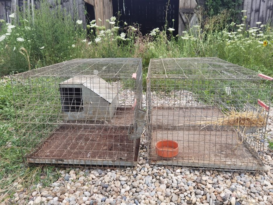 Cușcă iepuri, 4 buc 100x60x50