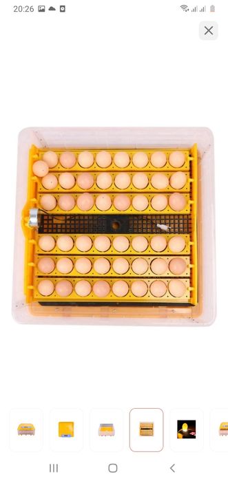 Срочно продам инкубатор