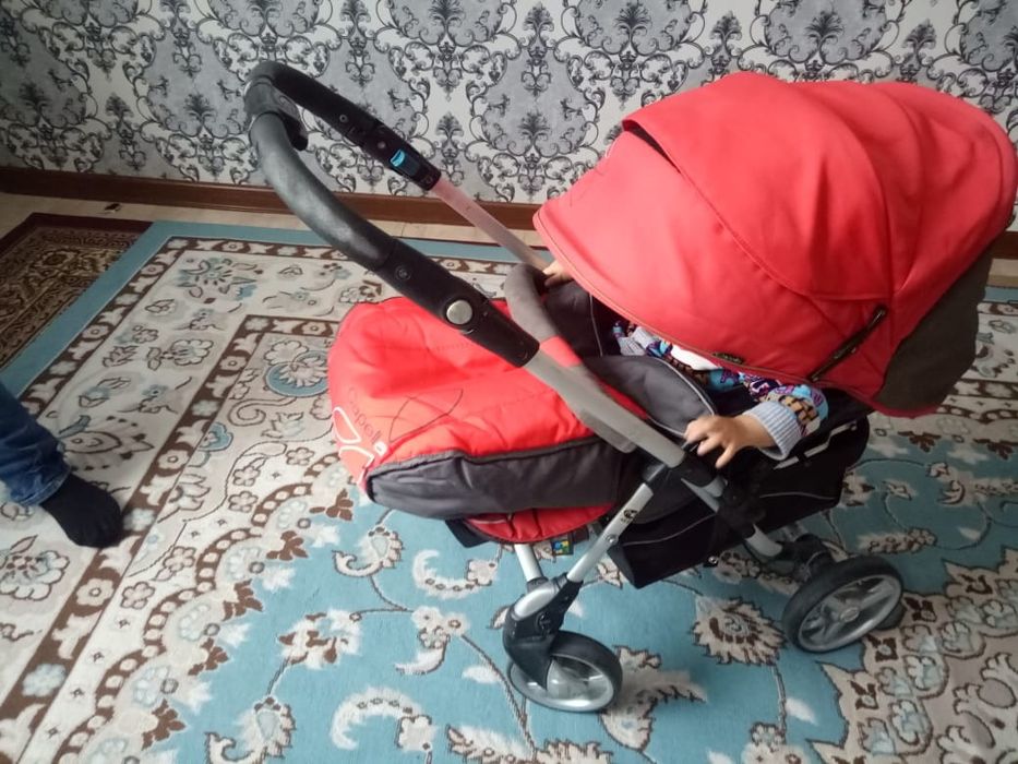 Каляска Карейская Kapella