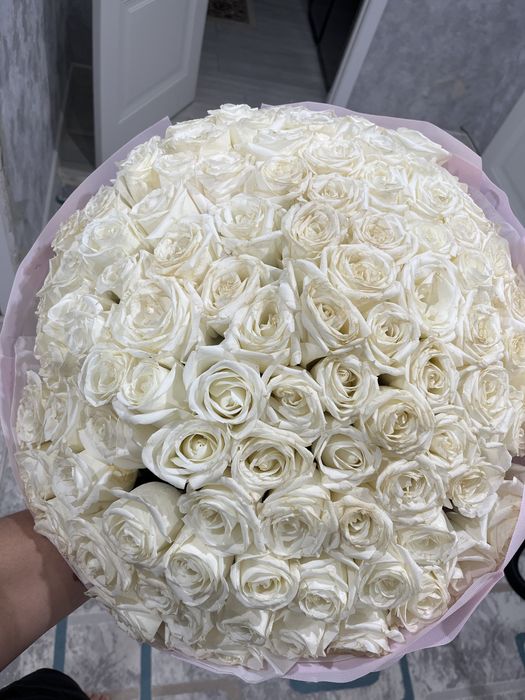 Белая роза, 101шт