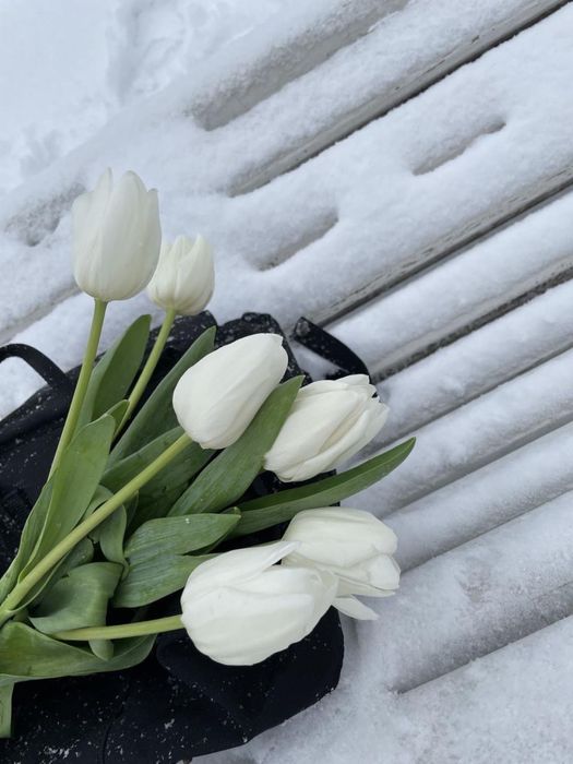 Тюльпаны 600тг. Цветы . Оформлени в подарок